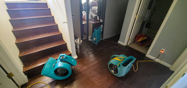 Best Flood damage cleanup  in Newport, RI