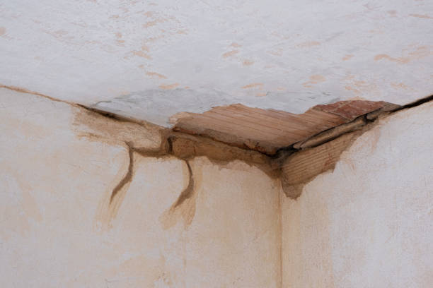 Best Water damage restoration experts  in Newport, RI