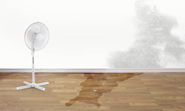 Best Water damage contractors near me  in Newport, RI