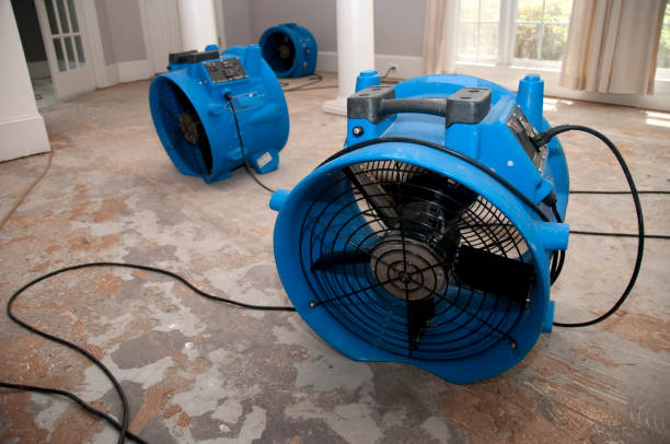 Best Flooded house restoration  in Newport, RI