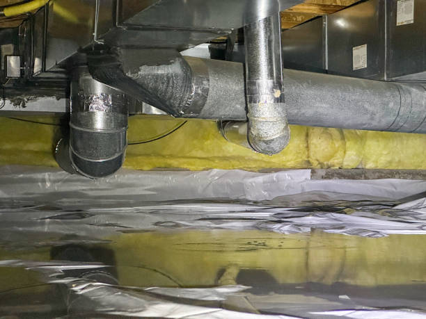 Best Water damage restoration near me  in Newport, RI